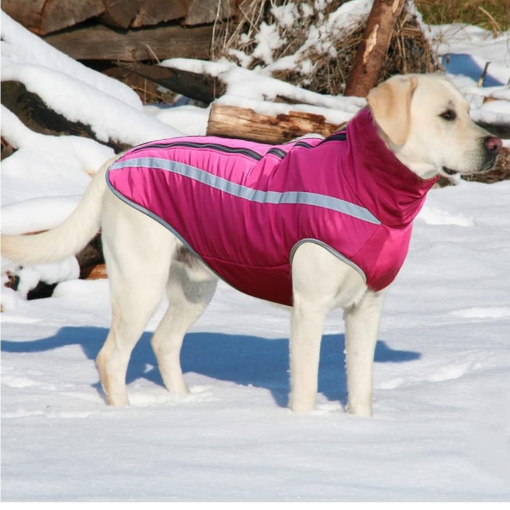🌟NWOT! FEimax Pink Dog Coat